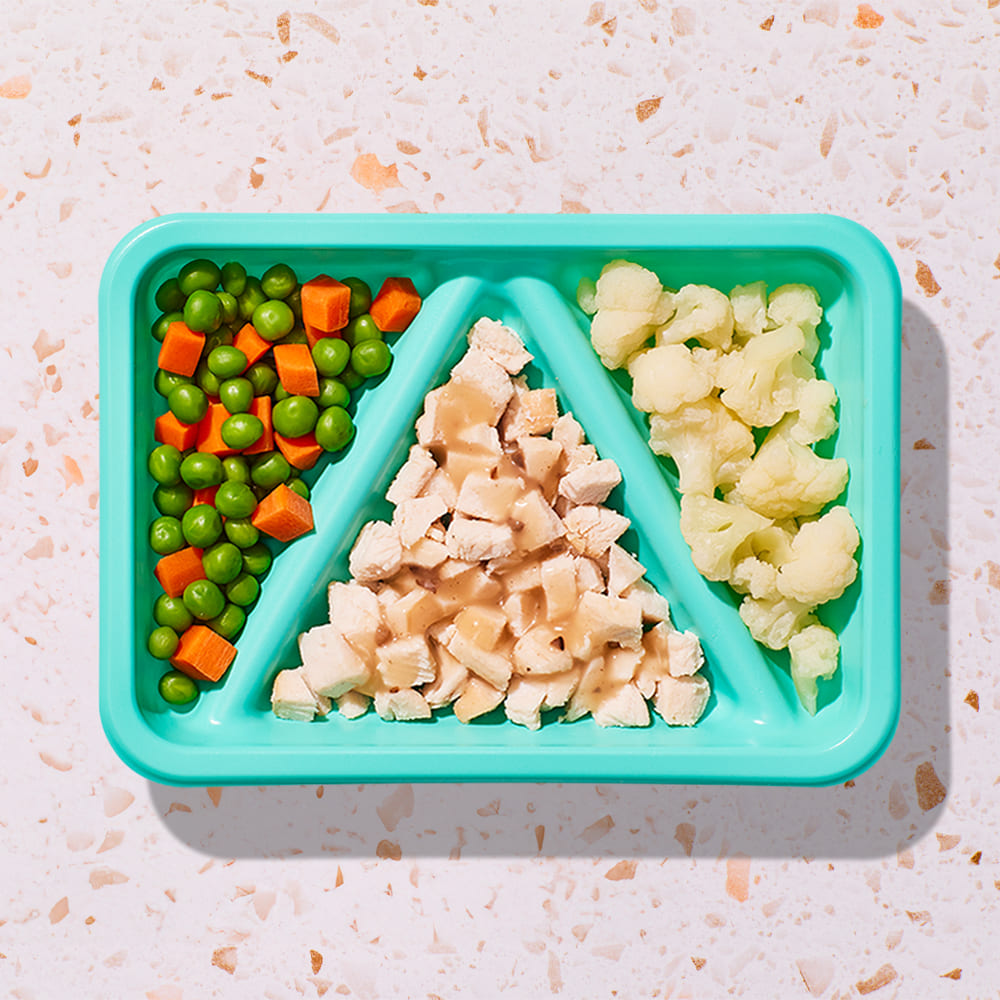 roasted turkey breast in a gravy sauce and cauliflower florets and steamed carrot and pea blend Biteable
